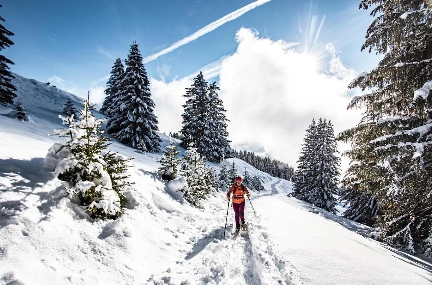 Fermes Fma23 Cosy & Mountain 5 Pers Apartment Chatel 0*,